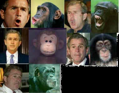 President George Bush and Curious George the biped dissident
