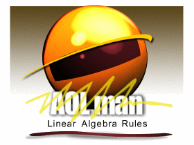 Linear Algebra Rules Logo