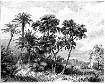 Hamunaptra